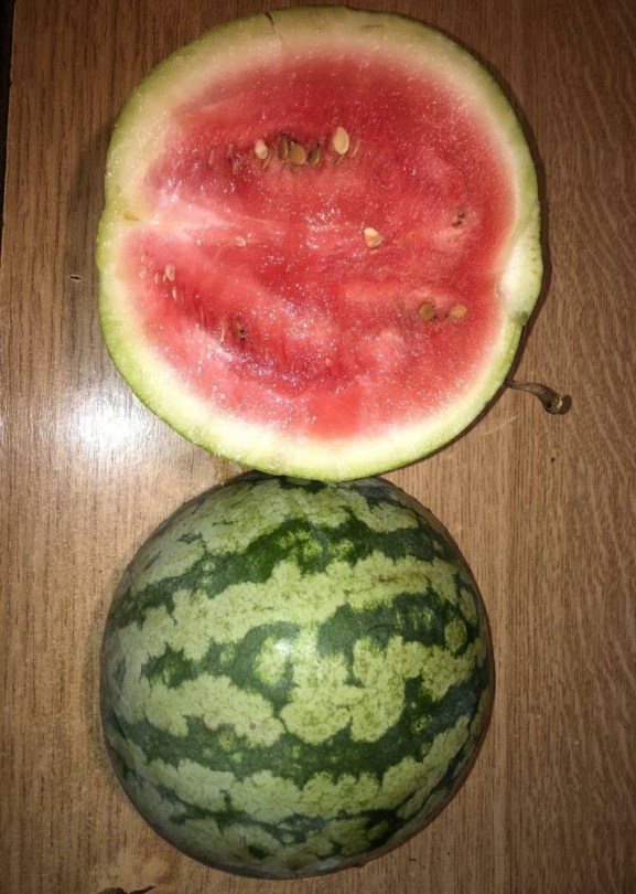 Klondike Blue Ribbon görögdinnye, Citrullus lanatus, dinnye, görögdinnye